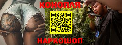 прущие грибы Рязань
